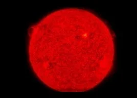 The most evolved red giants vibrate like the Sun