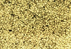 The universal nature of stellar granulation unveiled