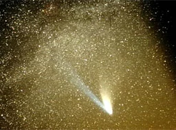Antifreeze in comet Hale-Bopp