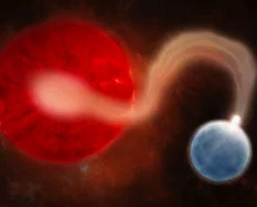 Understanding the oscillations of the magnetic white dwarfs