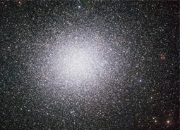 The Spite plateau exists also in other galaxies: the case of omega Centauri