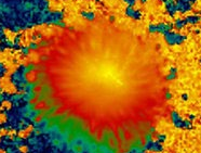  The THEMIS telescope reveals the fine structure of the magnetic field at the solar surface outside of active regions