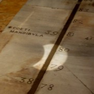 The Observatoire de Paris meridian