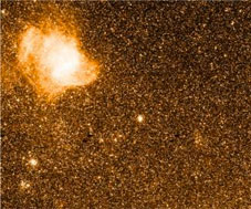The Be stars: fast rotators since their birth!