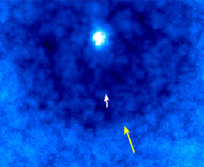 Distinctive rings in the 21 cm signal of the epoch of reionization