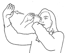 An international astronomical dictionary for sign language