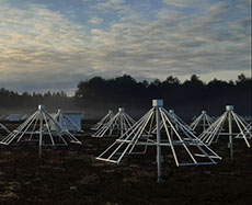 The NenuFAR radio telescope launches its first international call for observations