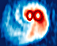 Birth of future planetary systems in a double star