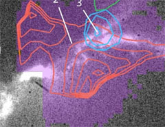 The jet from a black hole drives multiple winds in a nearby galaxy