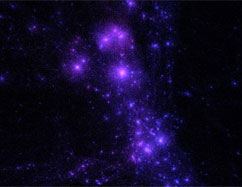 From Stock Markets to Cosmic Structures: the Stochastic Behavior of Dark Matter Halos