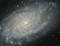 Discovery of a slow bar in a spiral galaxy