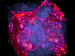 Exploring the epoch of reionization through the 21 cm radiation