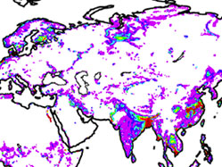 Humid zones under demographic pressure