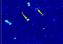 Serendipitous discovery of a bizarre pulsar, named PARROT