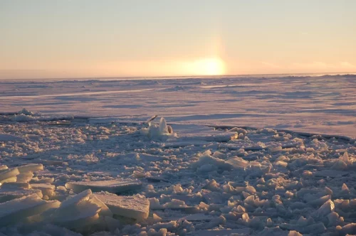 Glace de mer au nord de l'archipel arctique canadien. 